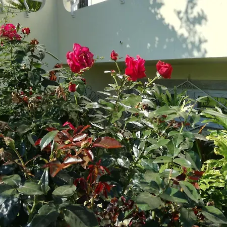 Casa Do Riacho *