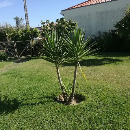 ホームステイ Casa Do Riacho